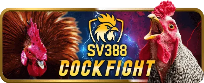 Hỗ trợ khách hàng New88bi